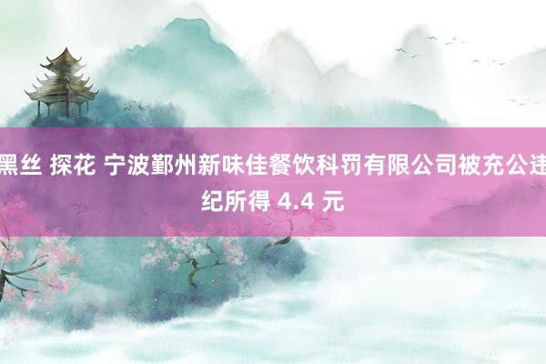 黑丝 探花 宁波鄞州新味佳餐饮科罚有限公司被充公违纪所得 4.4 元