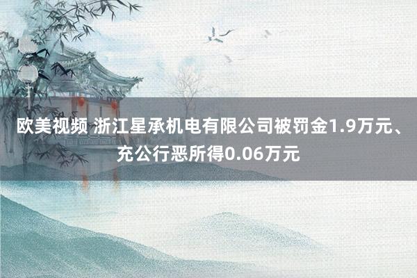 欧美视频 浙江星承机电有限公司被罚金1.9万元、充公行恶所得0.06万元