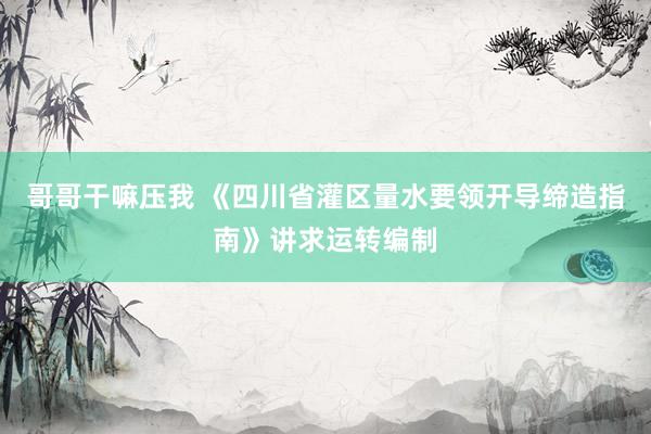 哥哥干嘛压我 《四川省灌区量水要领开导缔造指南》讲求运转编制