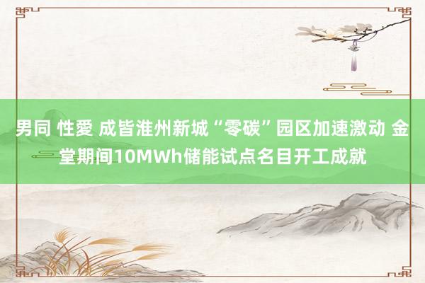 男同 性愛 成皆淮州新城“零碳”园区加速激动 金堂期间10MWh储能试点名目开工成就