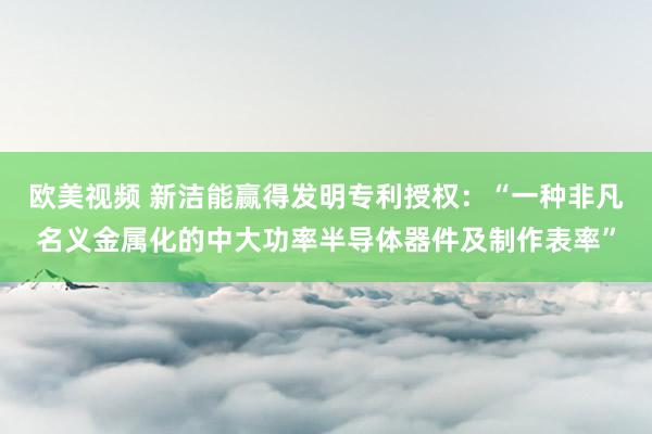 欧美视频 新洁能赢得发明专利授权：“一种非凡名义金属化的中大功率半导体器件及制作表率”