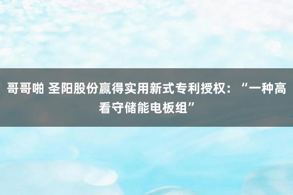 哥哥啪 圣阳股份赢得实用新式专利授权：“一种高看守储能电板组”