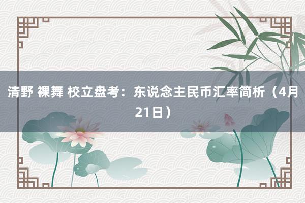 清野 裸舞 校立盘考：东说念主民币汇率简析（4月21日）
