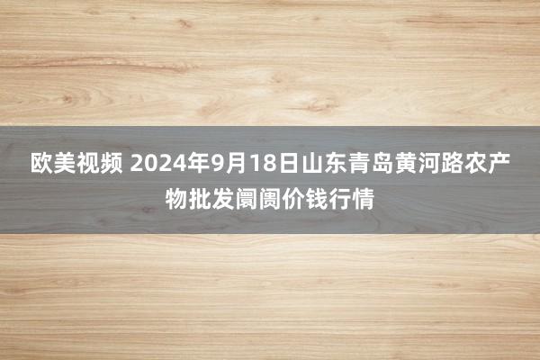 欧美视频 2024年9月18日山东青岛黄河路农产物批发阛阓价钱行情