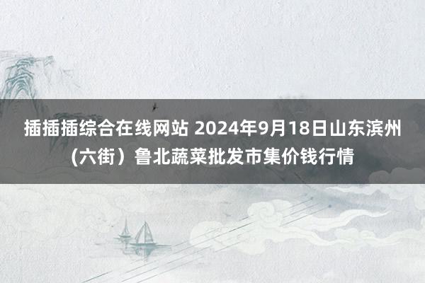 插插插综合在线网站 2024年9月18日山东滨州(六街）鲁北蔬菜批发市集价钱行情