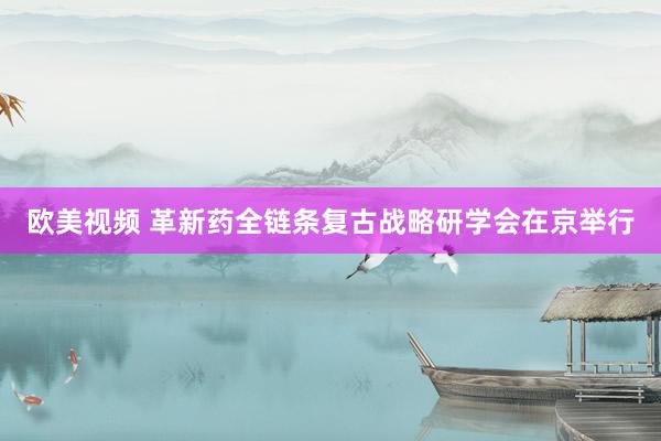 欧美视频 革新药全链条复古战略研学会在京举行