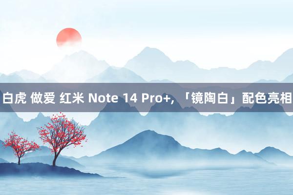 白虎 做爱 红米 Note 14 Pro+， 「镜陶白」配色亮相