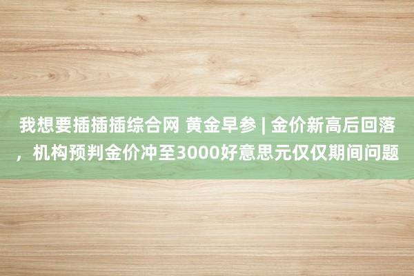 我想要插插插综合网 黄金早参 | 金价新高后回落，机构预判金价冲至3000好意思元仅仅期间问题