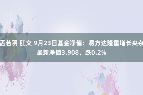 孟若羽 肛交 9月23日基金净值：易方达隆重增长夹杂最新净值3.908，跌0.2%