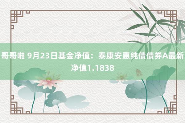 哥哥啪 9月23日基金净值：泰康安惠纯债债券A最新净值1.1838
