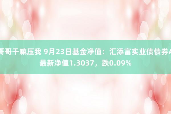 哥哥干嘛压我 9月23日基金净值：汇添富实业债债券A最新净值1.3037，跌0.09%
