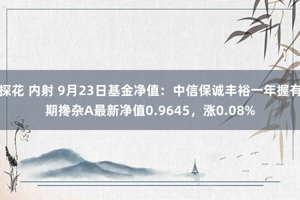 探花 内射 9月23日基金净值：中信保诚丰裕一年握有期搀杂A最新净值0.9645，涨0.08%