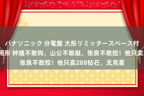 パナソニック 分電盤 大形リミッタースペース付 露出・半埋込両用形 钟馗不敢钩，山公不敢敲，张良不敢控！他只卖288钻石，无克星