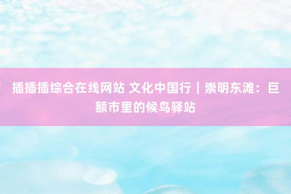 插插插综合在线网站 文化中国行｜崇明东滩：巨额市里的候鸟驿站