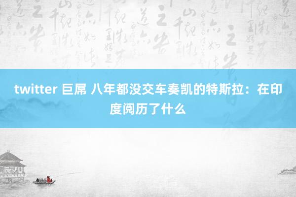 twitter 巨屌 八年都没交车奏凯的特斯拉：在印度阅历了什么