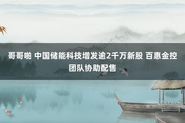 哥哥啪 中国储能科技增发逾2千万新股 百惠金控团队协助配售