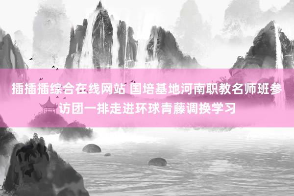 插插插综合在线网站 国培基地河南职教名师班参访团一排走进环球青藤调换学习