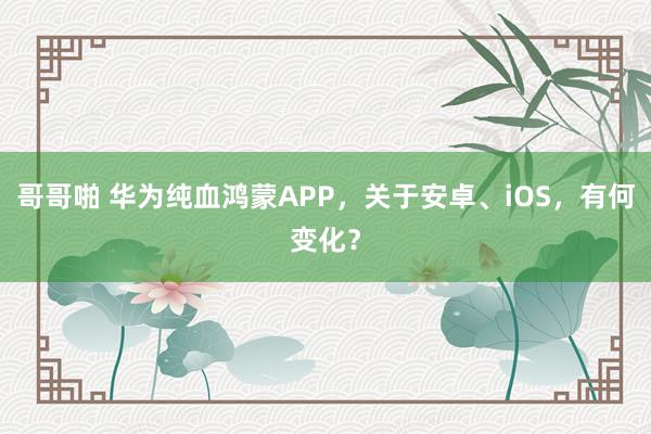 哥哥啪 华为纯血鸿蒙APP，关于安卓、iOS，有何变化？