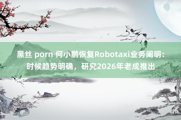 黑丝 porn 何小鹏恢复Robotaxi业务阐明：时候趋势明确，研究2026年老成推出
