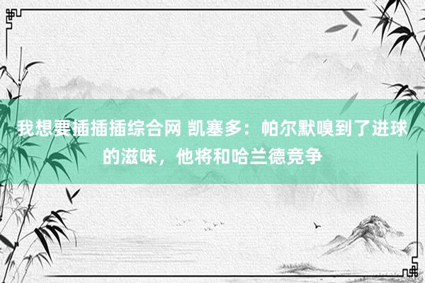 我想要插插插综合网 凯塞多：帕尔默嗅到了进球的滋味，他将和哈兰德竞争