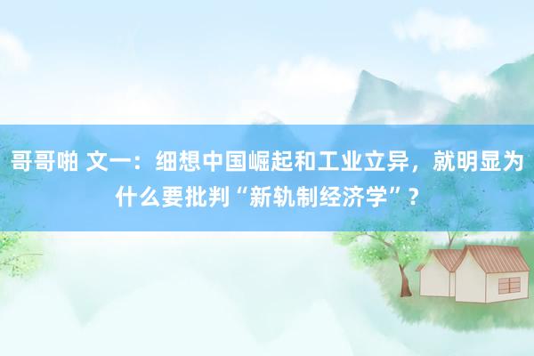 哥哥啪 文一：细想中国崛起和工业立异，就明显为什么要批判“新轨制经济学”？