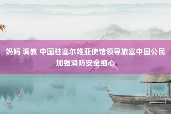 妈妈 调教 中国驻塞尔维亚使馆领导旅塞中国公民加强消防安全细心