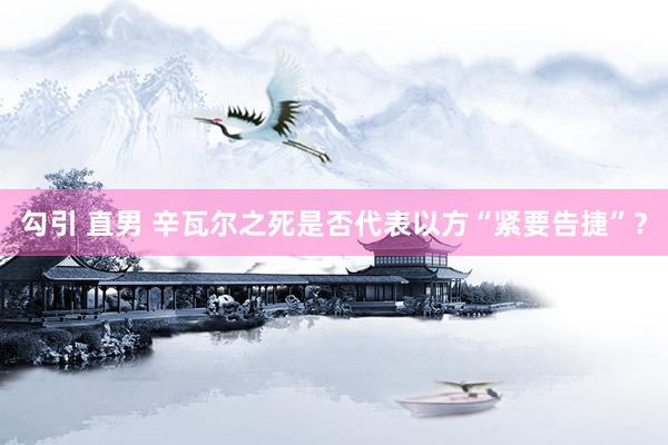 勾引 直男 辛瓦尔之死是否代表以方“紧要告捷”？