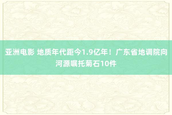 亚洲电影 地质年代距今1.9亿年！广东省地调院向河源嘱托菊石10件
