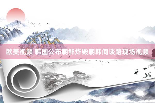 欧美视频 韩国公布朝鲜炸毁朝韩间谈路现场视频