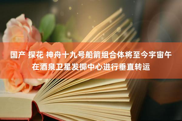 国产 探花 神舟十九号船箭组合体将至今宇宙午在酒泉卫星发掷中心进行垂直转运