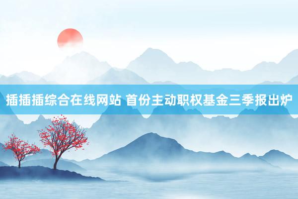 插插插综合在线网站 首份主动职权基金三季报出炉
