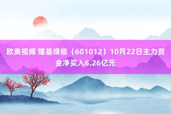欧美视频 隆基绿能（601012）10月22日主力资金净买入6.26亿元