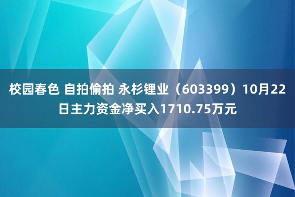 校园春色 自拍偷拍 永杉锂业（603399）10月22日主力资金净买入1710.75万元