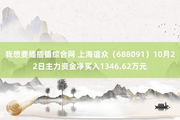 我想要插插插综合网 上海谊众（688091）10月22日主力资金净买入1346.62万元