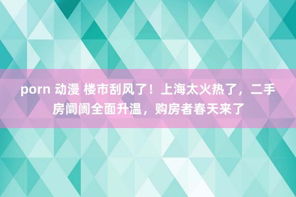 porn 动漫 楼市刮风了！上海太火热了，二手房阛阓全面升温，购房者春天来了