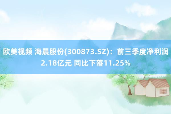 欧美视频 海晨股份(300873.SZ)：前三季度净利润2.18亿元 同比下落11.25%