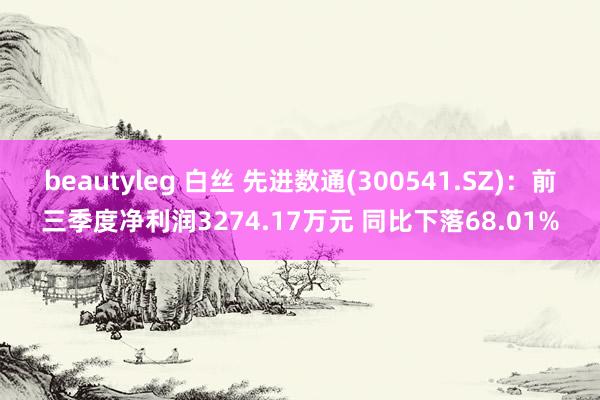 beautyleg 白丝 先进数通(300541.SZ)：前三季度净利润3274.17万元 同比下落68.01%