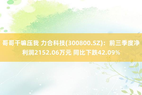 哥哥干嘛压我 力合科技(300800.SZ)：前三季度净利润2152.06万元 同比下跌42.09%