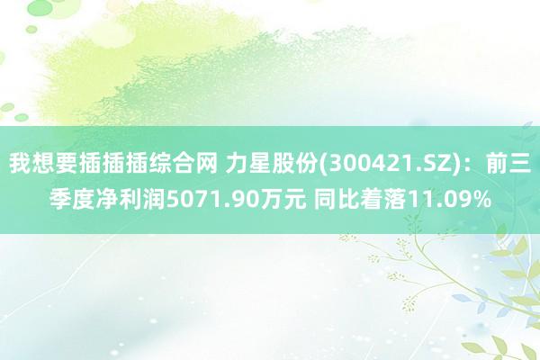 我想要插插插综合网 力星股份(300421.SZ)：前三季度净利润5071.90万元 同比着落11.09%