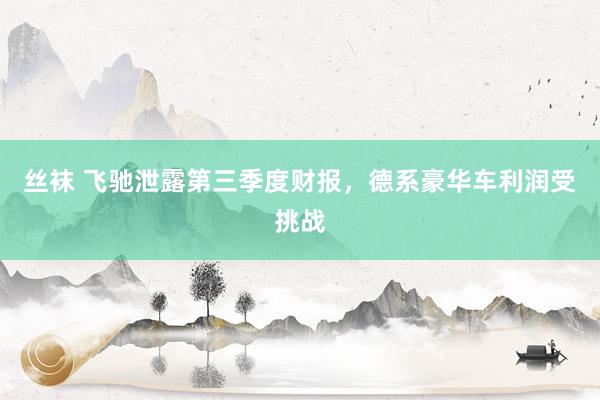丝袜 飞驰泄露第三季度财报，德系豪华车利润受挑战