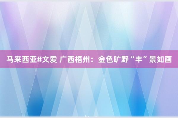 马来西亚#文爱 广西梧州：金色旷野“丰”景如画