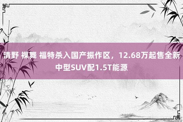 清野 裸舞 福特杀入国产振作区，12.68万起售全新中型SUV配1.5T能源