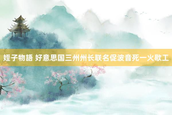 姪子物語 好意思国三州州长联名促波音死一火歇工