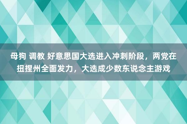 母狗 调教 好意思国大选进入冲刺阶段，两党在扭捏州全面发力，大选成少数东说念主游戏