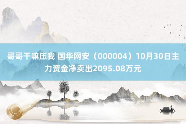 哥哥干嘛压我 国华网安（000004）10月30日主力资金净卖出2095.08万元