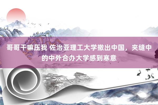 哥哥干嘛压我 佐治亚理工大学撤出中国，夹缝中的中外合办大学感到寒意