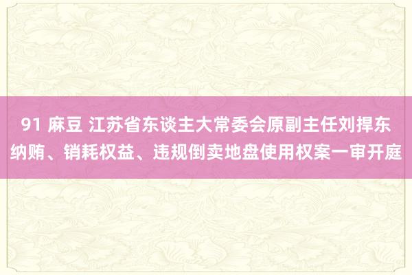 91 麻豆 江苏省东谈主大常委会原副主任刘捍东纳贿、销耗权益、违规倒卖地盘使用权案一审开庭