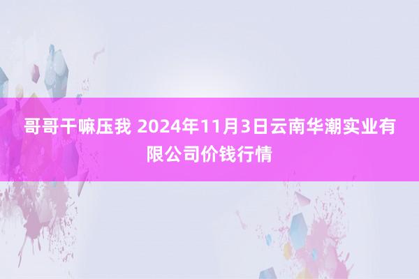 哥哥干嘛压我 2024年11月3日云南华潮实业有限公司价钱行情
