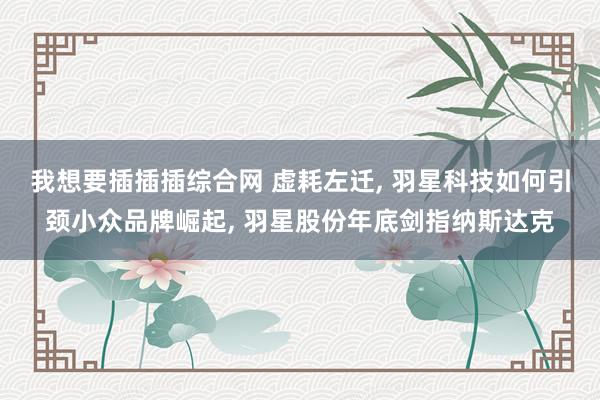 我想要插插插综合网 虚耗左迁， 羽星科技如何引颈小众品牌崛起， 羽星股份年底剑指纳斯达克
