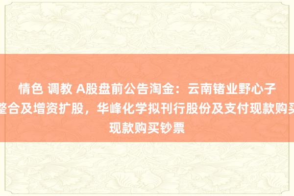 情色 调教 A股盘前公告淘金：云南锗业野心子公司整合及增资扩股，华峰化学拟刊行股份及支付现款购买钞票